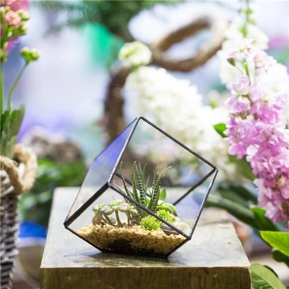 NCYP 3.93 Inches Geometric Glass Terrarium, Small Inclined Cube Clear - Picture 2 of 7